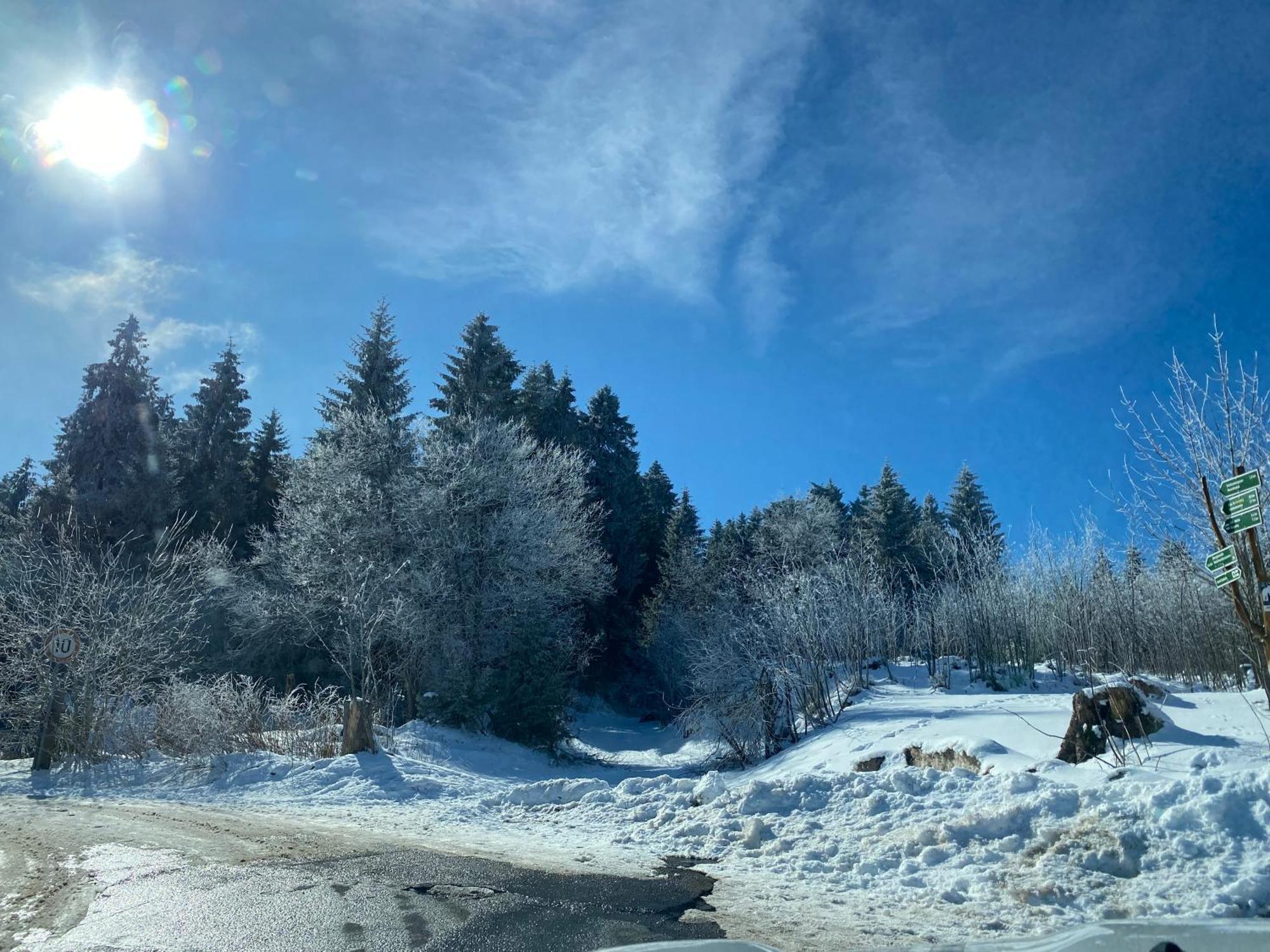 Ferienhaeuschen Gartenblick Friedrichroda Esterno foto